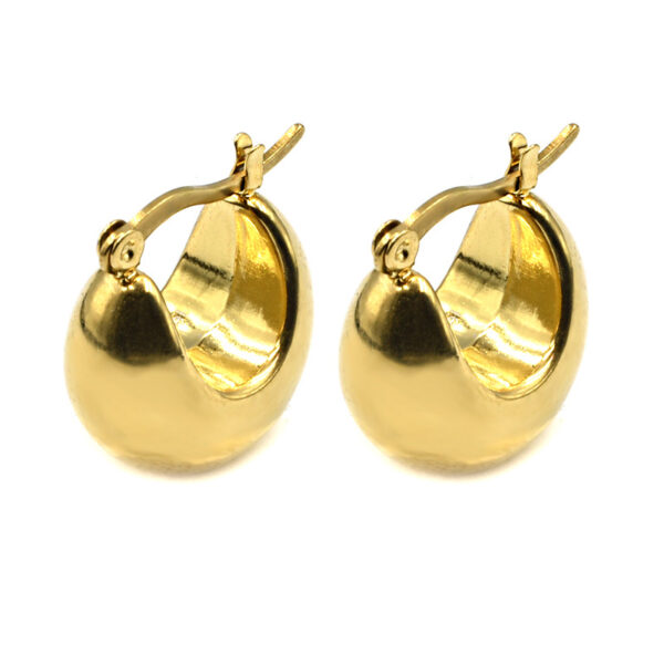 Γυναικεία σκουλαρίκια κρίκοι, ατσάλινα, σε χρυσό χρώμα Awear Leandra Gold