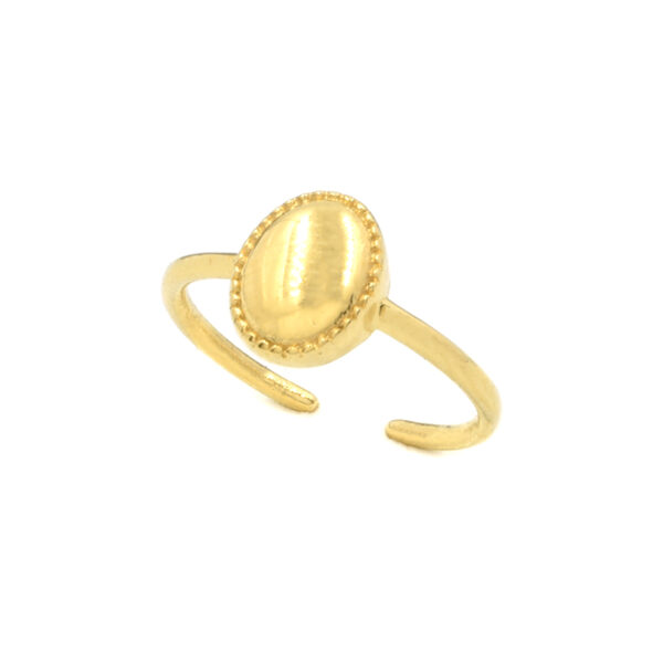 Δαχτυλίδι ατσάλινο, ανοιχτό, χρυσό Awear Piedra Gold