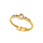 Δαχτυλίδι ατσάλινο, χρυσό, με ζιργκόν, Awear Alison Gold
