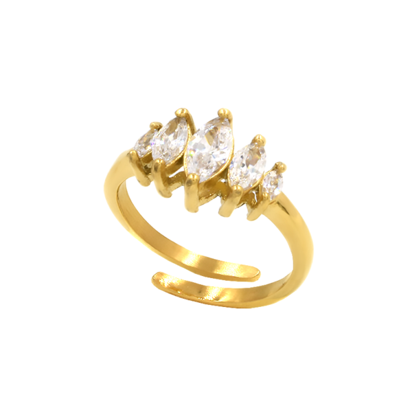 Δαχτυλίδι ατσάλινο, χρυσό, με ζιργκόν, Awear Cleo Gold